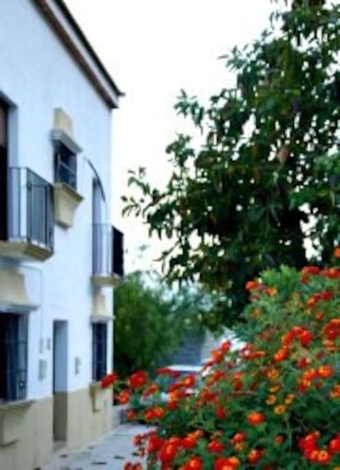 הוילה אלגודונאלס Eagles Nest - Massive Townhouse With Pool With Outstanding Views מראה חיצוני תמונה